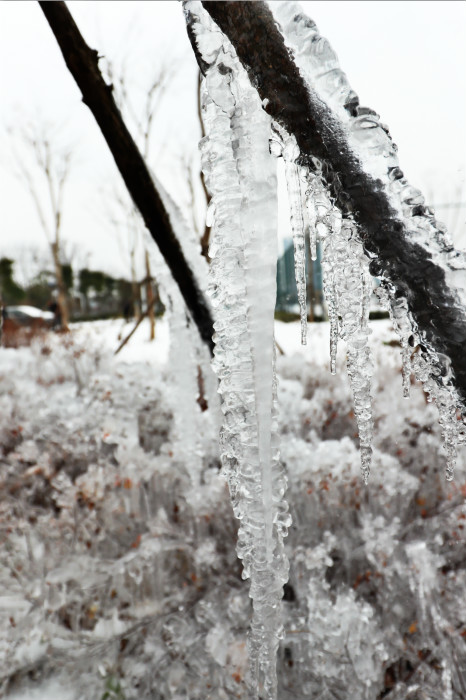 一場雪，體育中心美得不要不要的 但最美的風(fēng)景還是他們(圖4)