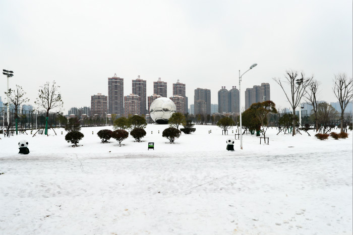 一場雪，體育中心美得不要不要的 但最美的風(fēng)景還是他們(圖2)