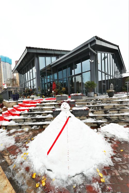 一場雪，體育中心美得不要不要的 但最美的風(fēng)景還是他們(圖11)