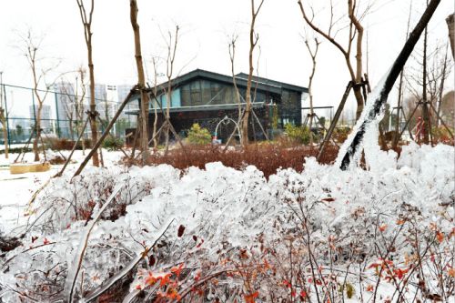 一場(chǎng)雪，體育中心美得不要不要的</br>但最美的風(fēng)景還是他們(圖2)
